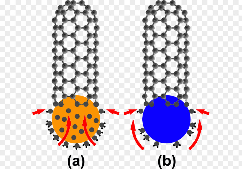 Dynamic Particle Carbon Nanotube Nanocső Single-walled Nanohorn Ferrocene PNG