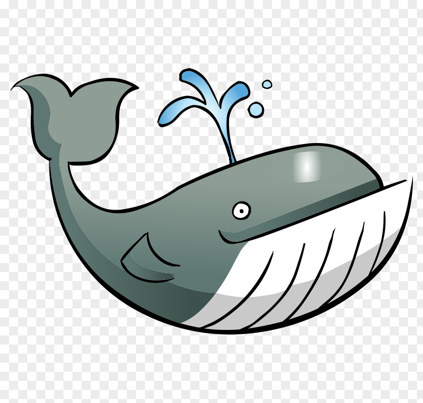 Fish Aquatic Animal Clip Art PNG