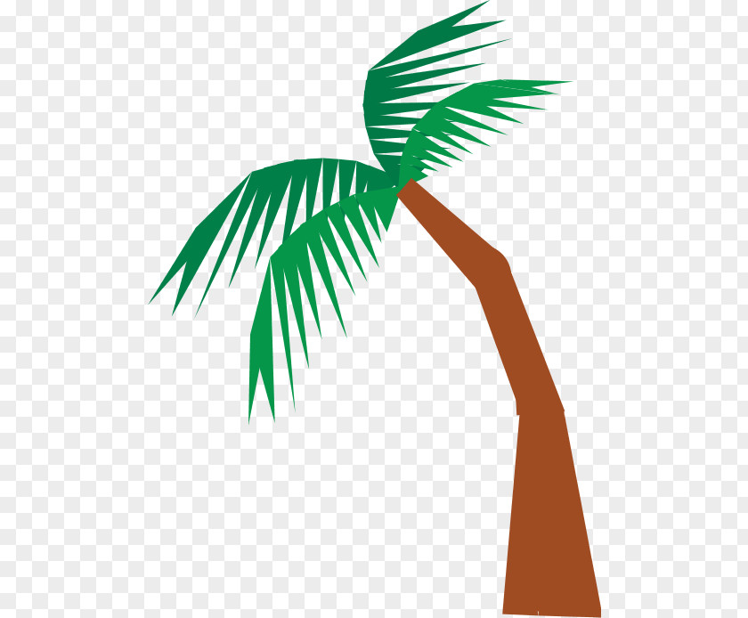 Looking Up Coconut Trees Arecaceae Mermaid Book Child Odyssey PNG
