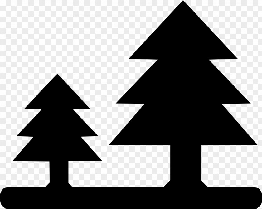 Tree Christmas Forest Hills Club Clip Art Spruce PNG