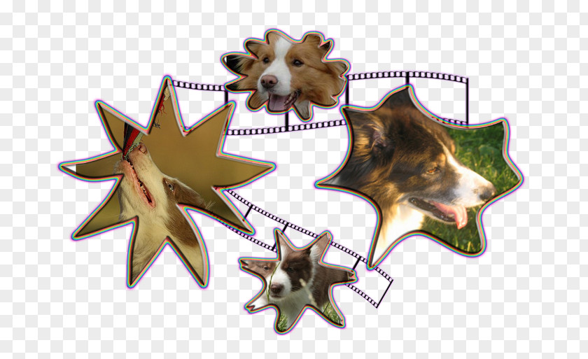 Christmas Ornament Animal PNG