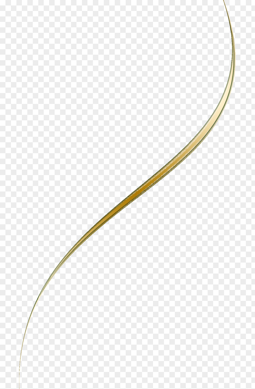 Lines Body Jewellery Line PNG