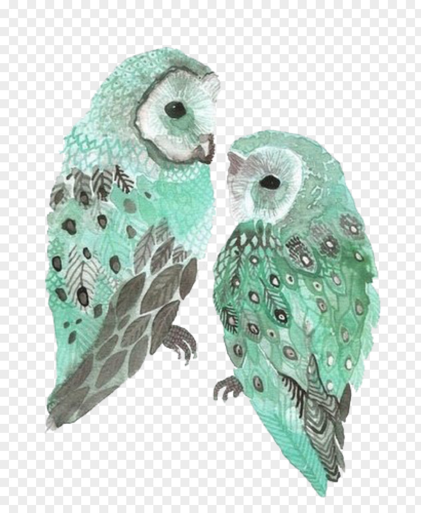 Owl Bird Blue Green Image PNG
