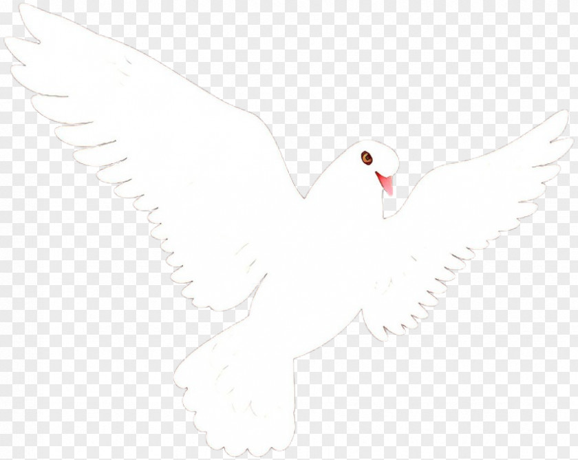 Tail Wing Bird Line Drawing PNG
