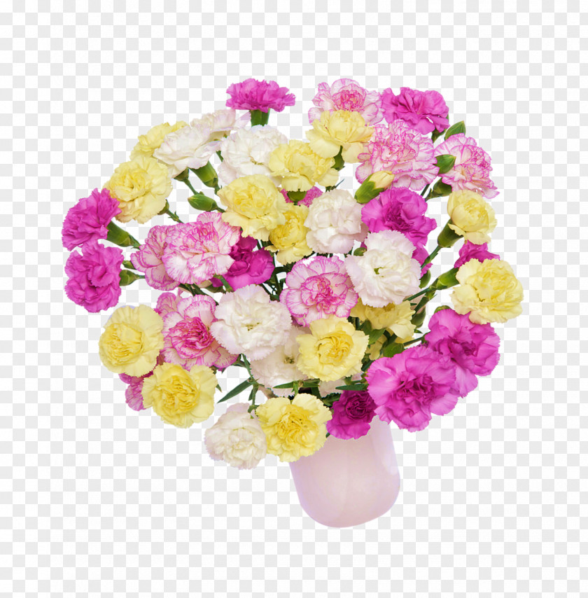 CARNATION Cut Flowers Floral Design PNG