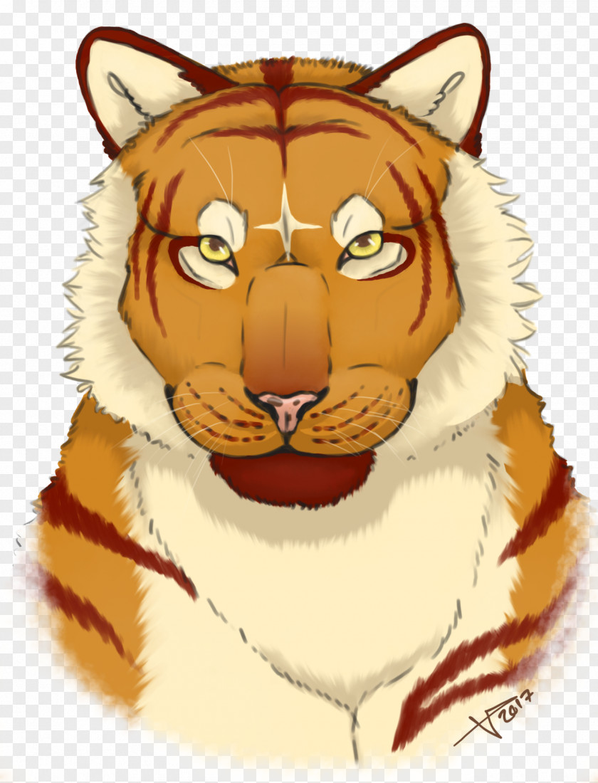 Ferocious Tiger Head Whiskers Cat Snout PNG