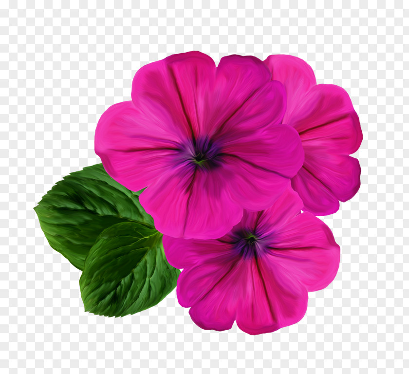 Flower Pink Flowers Clip Art PNG