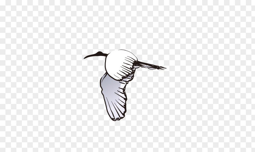 Flying Crane Swan Goose Red-crowned Bird PNG