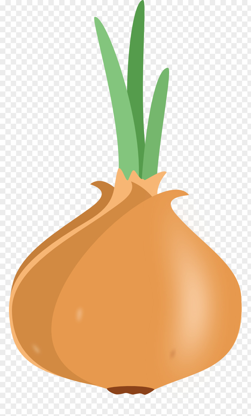 Onion Borscht Drawing Vegetable Raster Graphics PNG