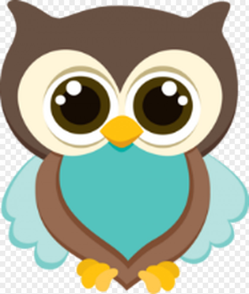 Owl Little Drawing PNG