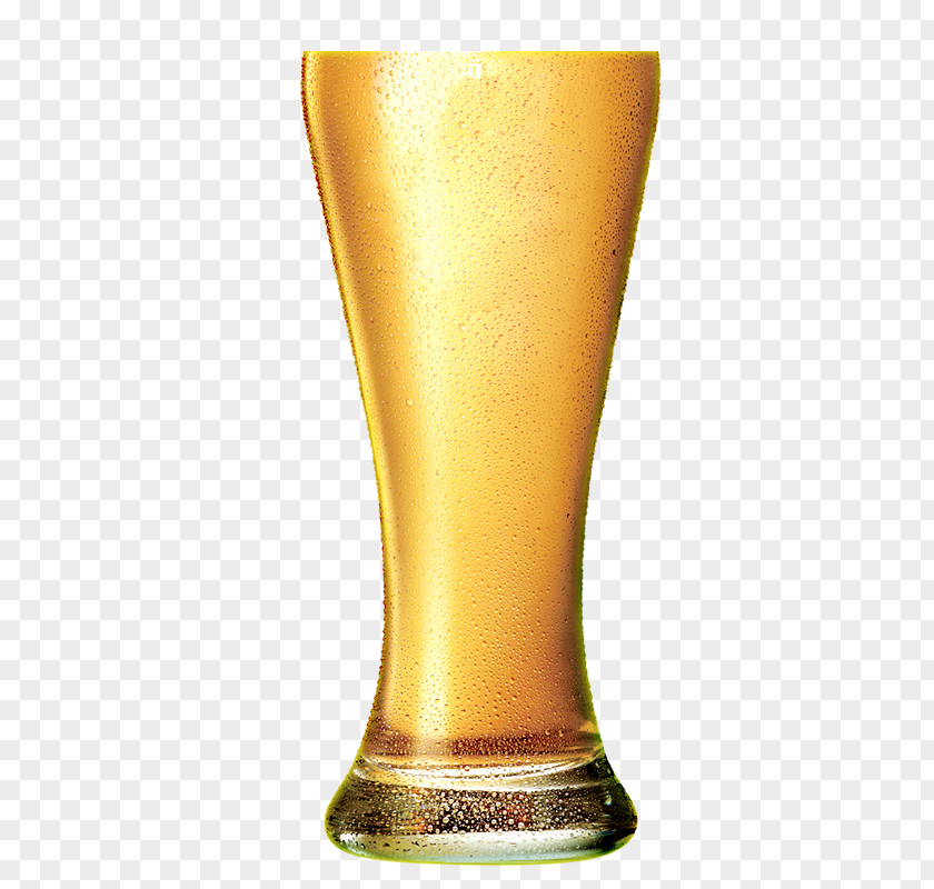 Tsing Tao Beer Wheat Foam Icon PNG