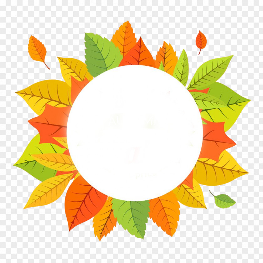 Autumn Leaves Yellow Circle Maple Leaf PNG