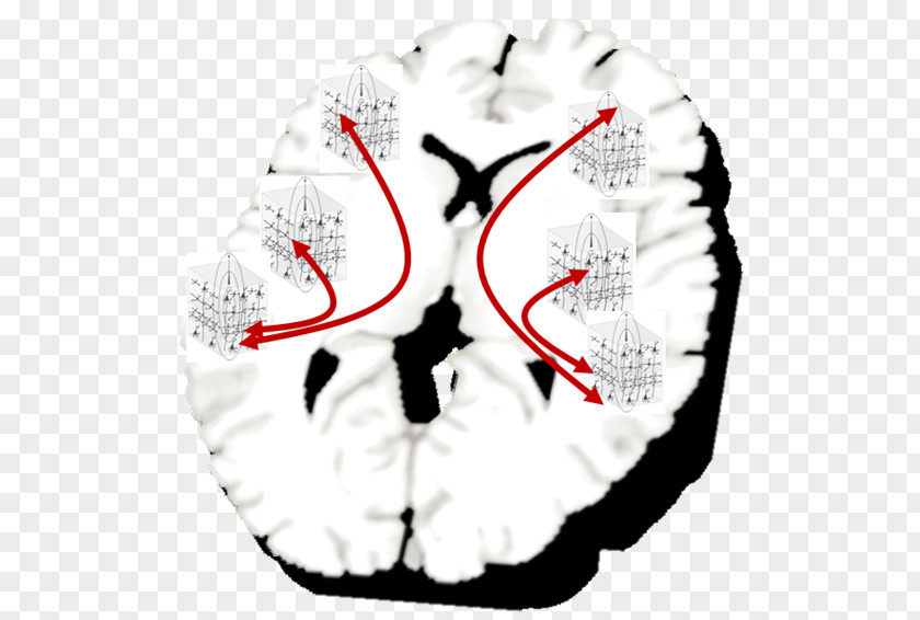 Brain Font PNG