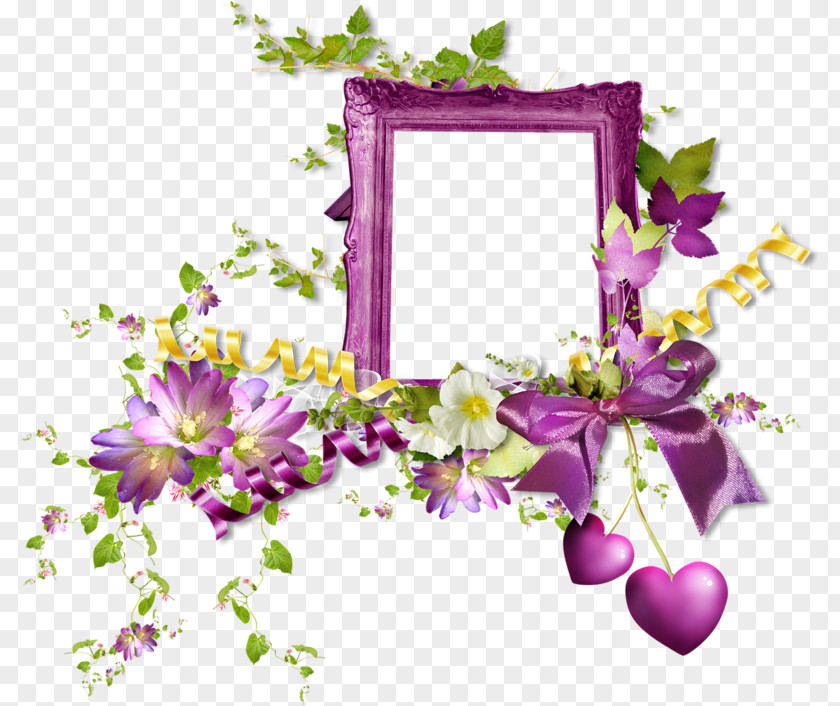 Flower Picture Frames Floral Design Photography PNG