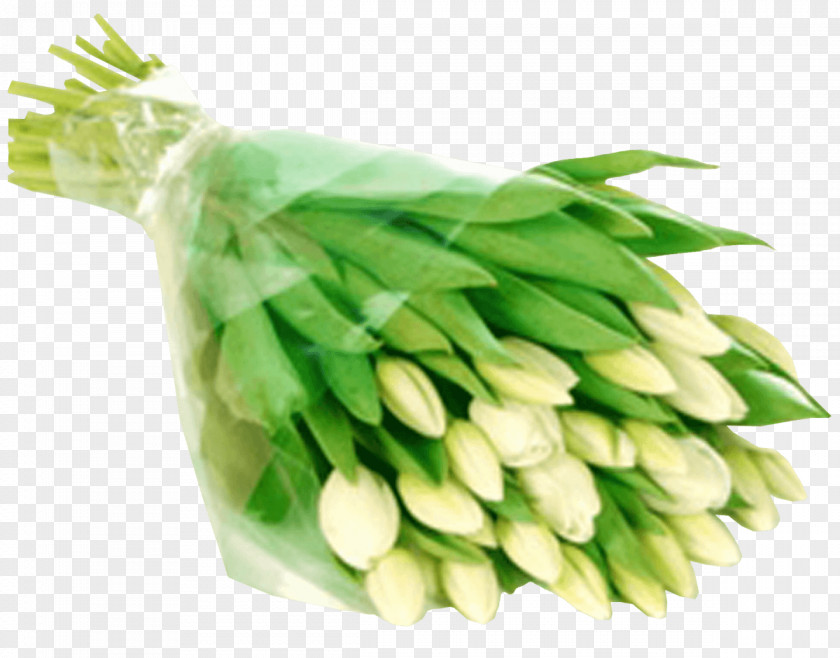 Доставка цветов Алматы. Широкий ассортимент свежих и подарков. Garden RosesTulip Tulip White Flower Bouquet Almaflowers.kz PNG