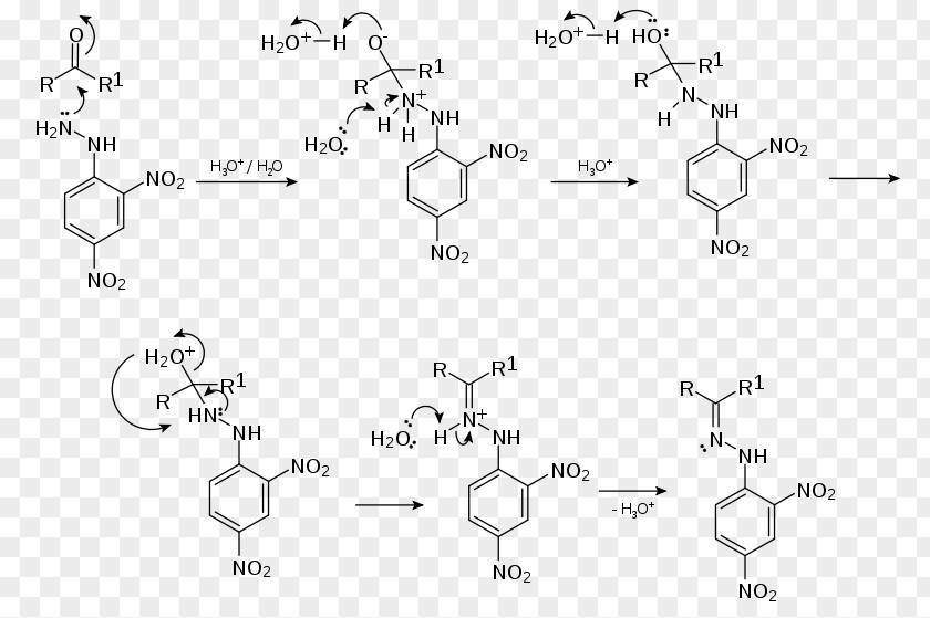 Mechanism 2,4-Dinitrophenylhydrazine Chemical Reaction Aldehyde Carbonyl Group PNG