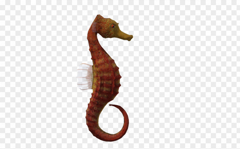 Natural 3d Cartoon Seahorse Animal 3D Computer Graphics PNG