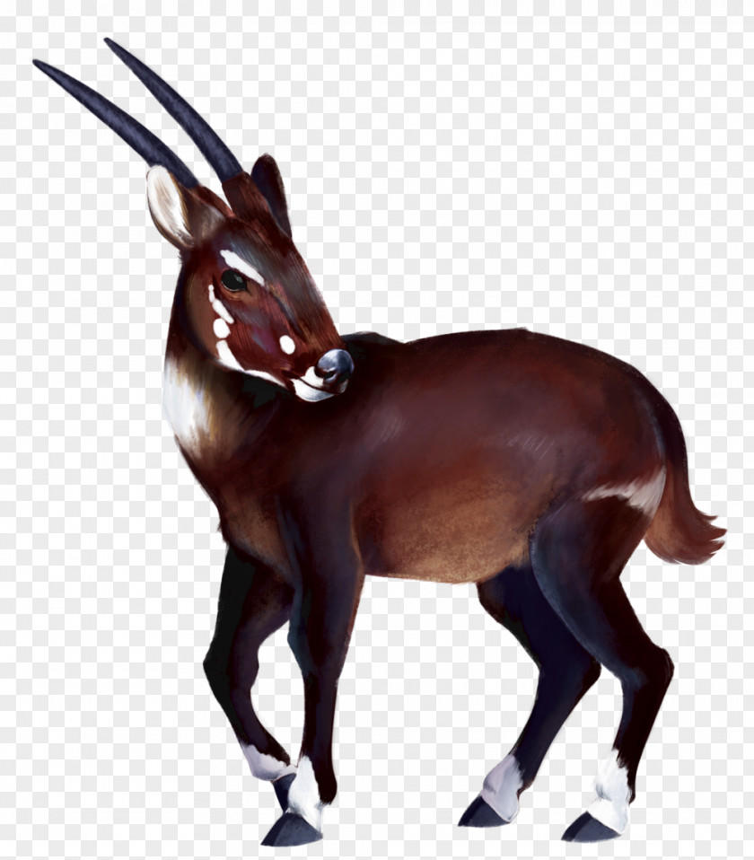 Unicorn Horn Gemsbok Antelope Deer Horse Saola PNG