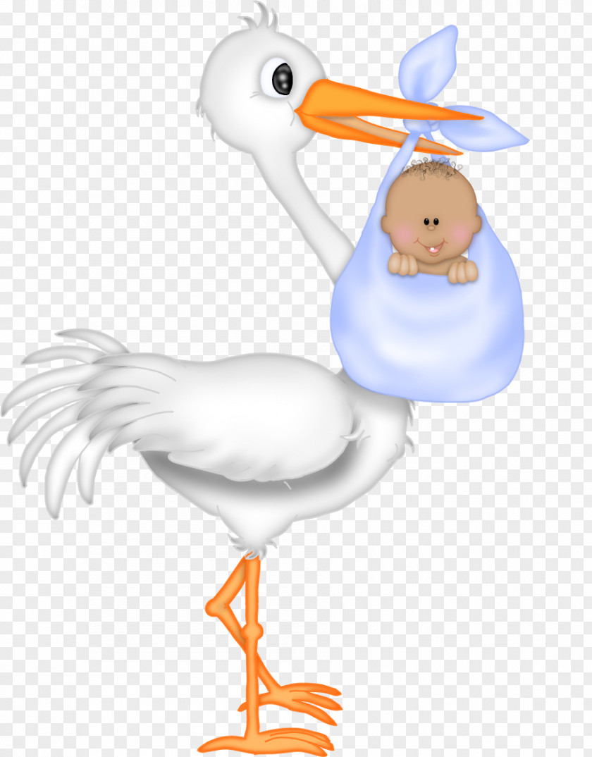 Baby Stork Shower Infant Gift PNG