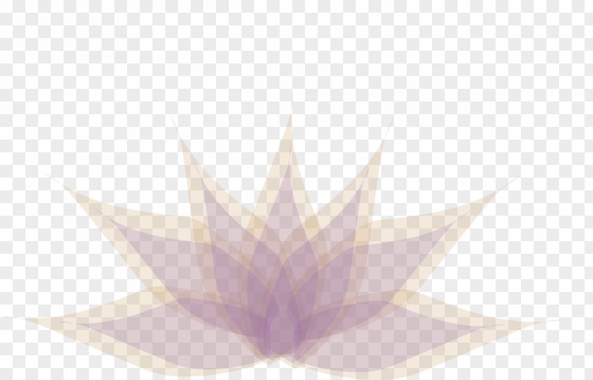 Flower Business Card Design Purple Lilac Violet Leaf Desktop Wallpaper PNG