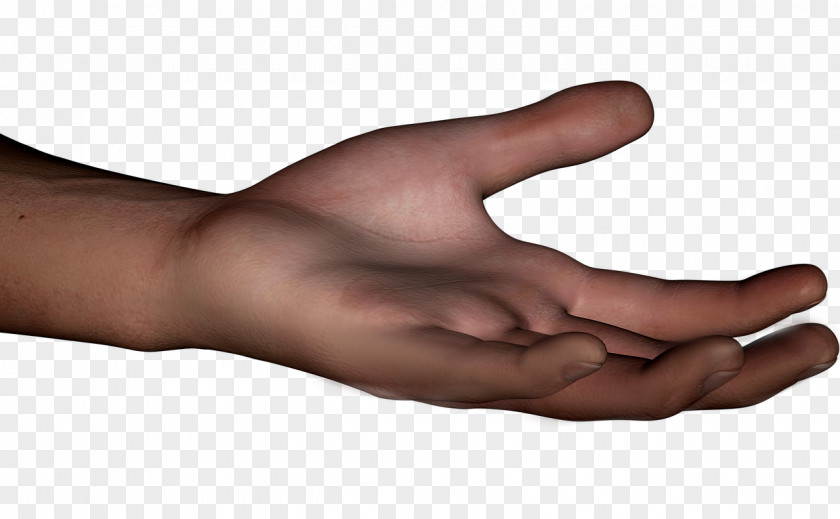 Hand Thumb Model Human Body Homo Sapiens PNG