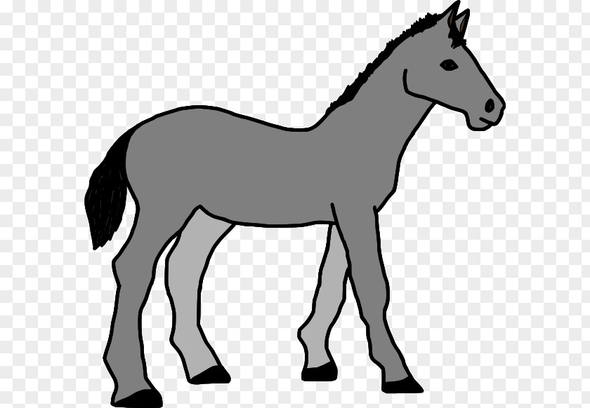 Horse Clipart Gif Foal Colt Clip Art Vector Graphics PNG