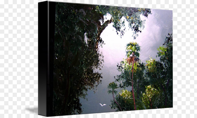 Moonlight Watercolor Gallery Wrap Forest Flora Picture Frames Biome PNG