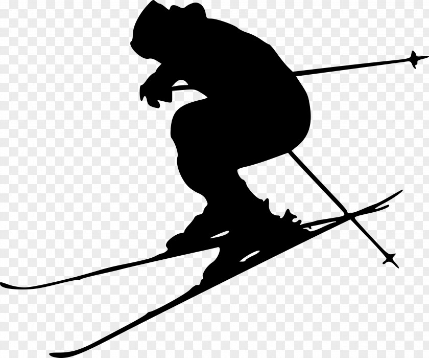Norway Silhouette Clip Skiing Ski Poles Art PNG