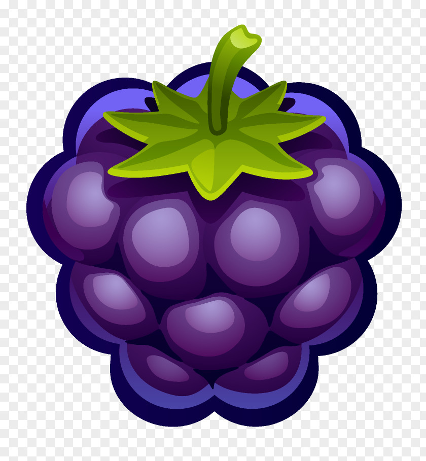 Blueberry Clip Art PNG