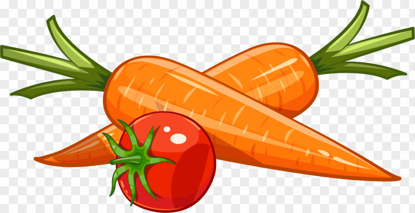 Carrots And Tomatoes Carrot Drawing Royalty-free Illustration PNG
