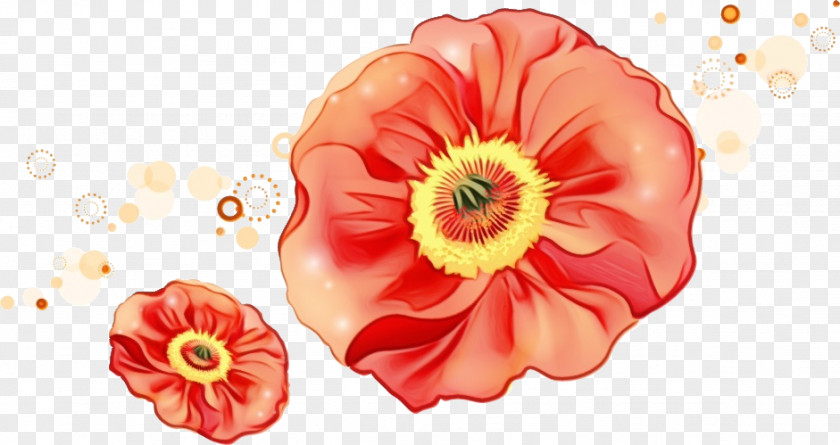 Floral Design PNG