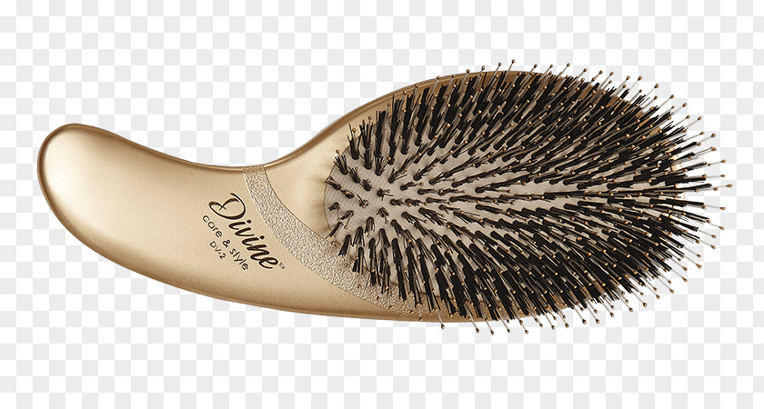 Hair Hairbrush Bristle Wild Boar PNG