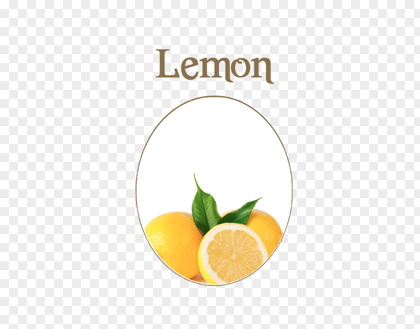 Lemon Lemon-lime Drink Orange Lemonade Juice PNG