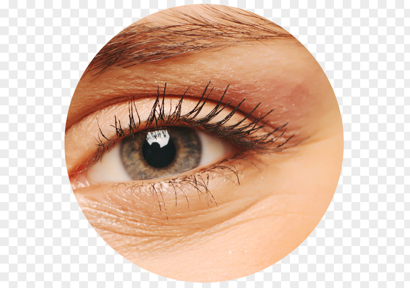 Mira Loma Eyelash Extensions Close-up Artificial Hair Integrations PNG