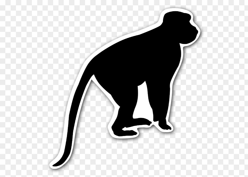 Monkey Primate Chimpanzee Ape Silhouette PNG