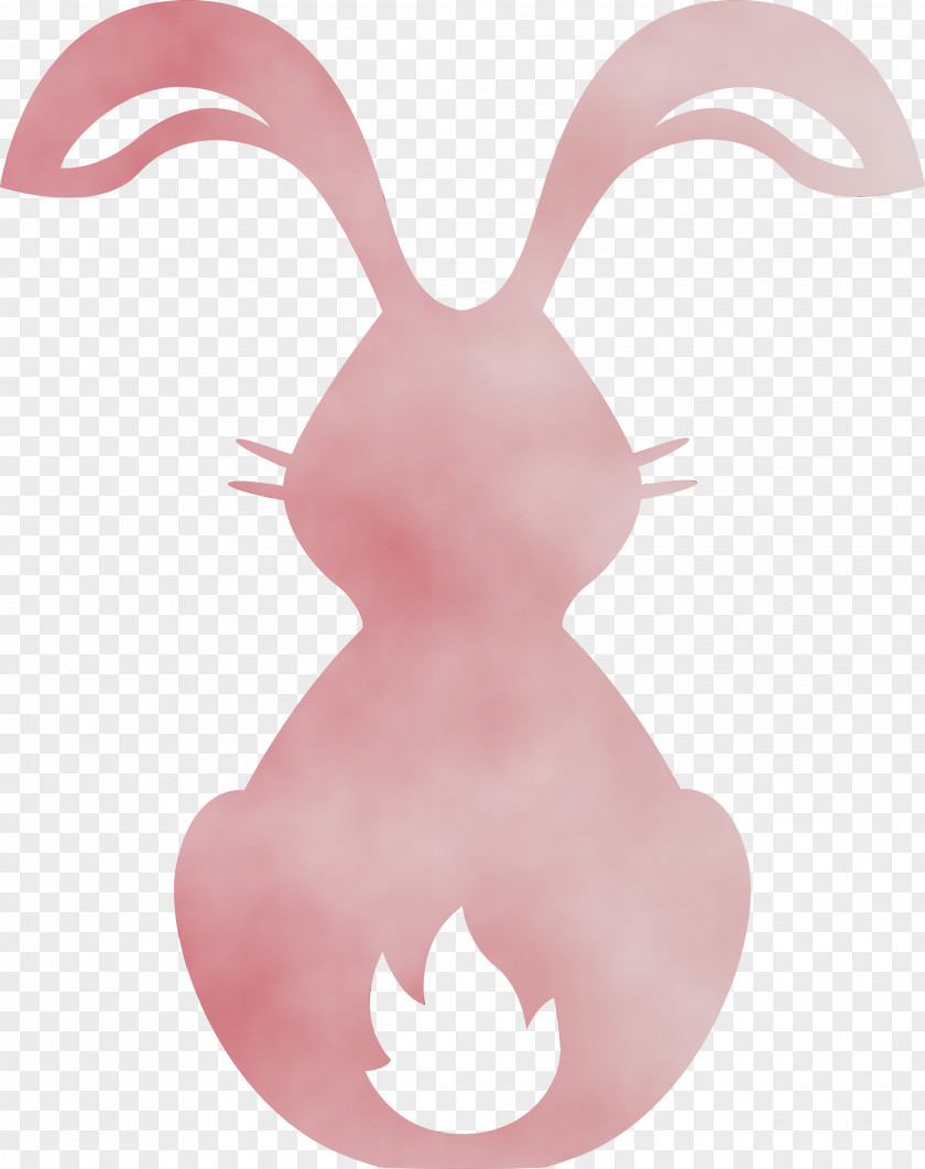 Pink Nose Rabbits And Hares PNG