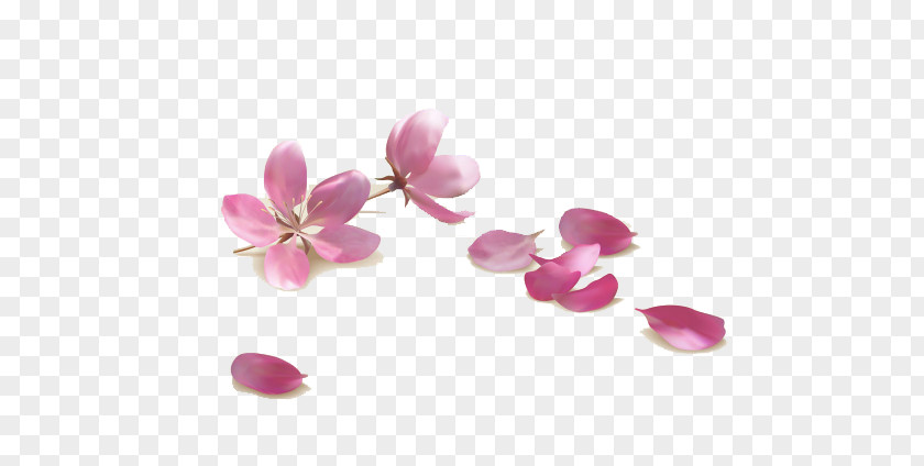 Spring Peach Pink Flowers Royalty-free Stock Photography PNG
