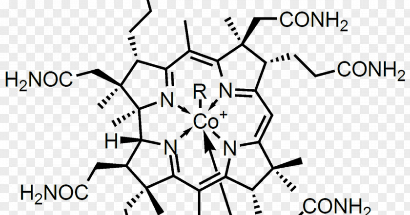 Vitamin B12 Dietary Supplement B-12 Cyanocobalamin Menadione Methylcobalamin PNG