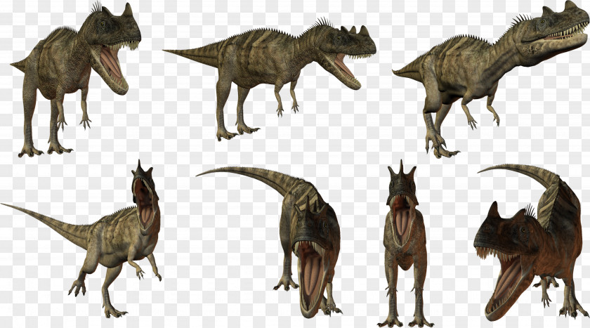Dinosaur Tyrannosaurus Taobao Megasaurus Child PNG