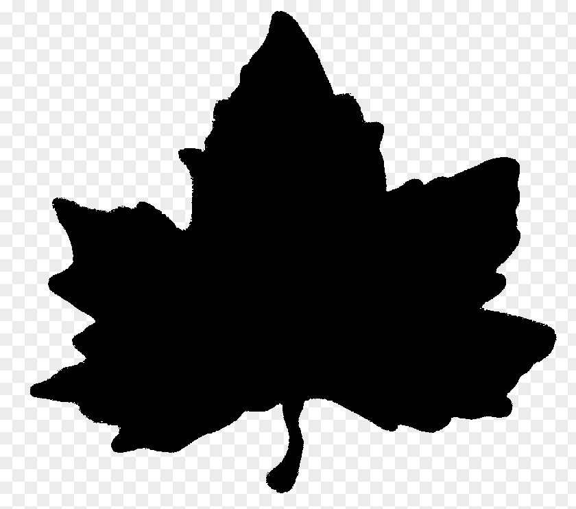 Maple Blackandwhite Woody Silhouette PNG