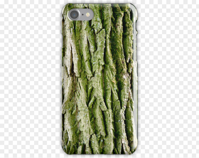 Tree Bark Leaf Vegetable PNG