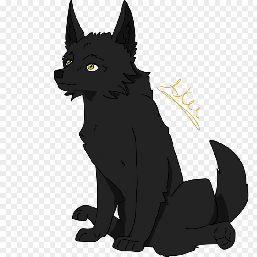 Aku Poster Schipperke Black Cat Whiskers Dog Breed PNG