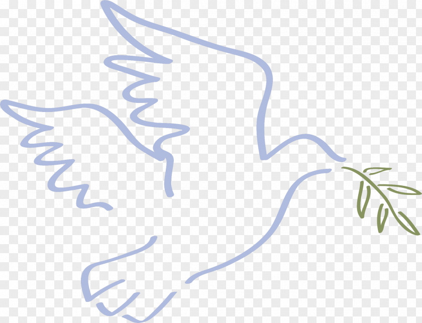 Bird Beak Drawing Line Art Clip PNG