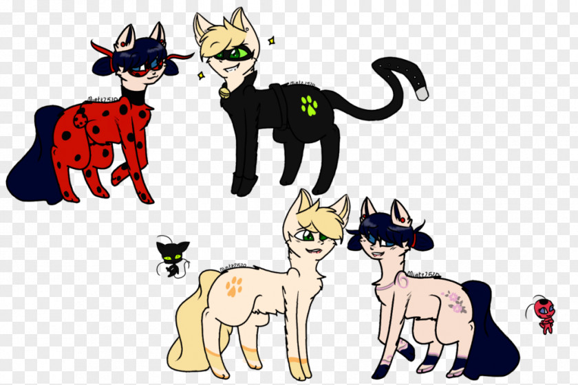 Cat Horse Pony Animal PNG