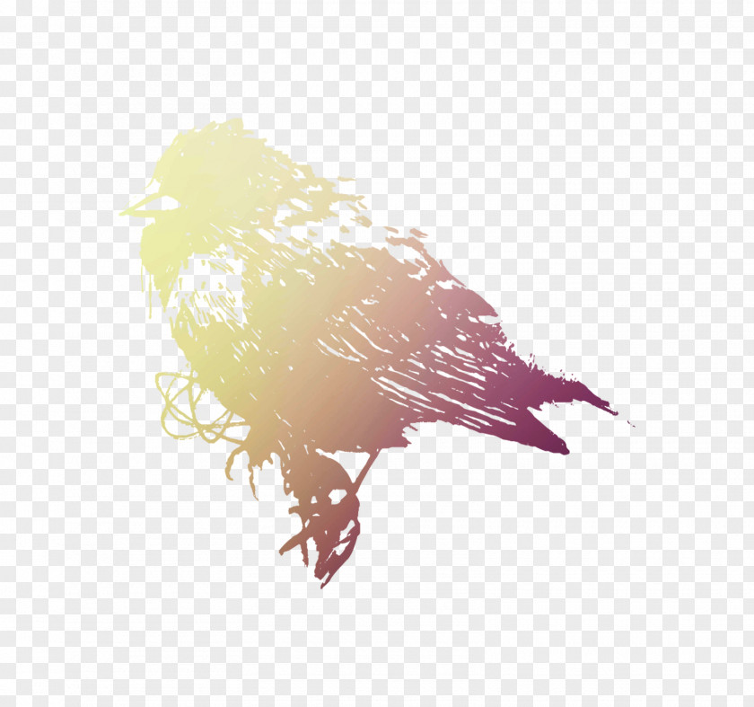 Eagle Desktop Wallpaper Computer Fauna Beak PNG