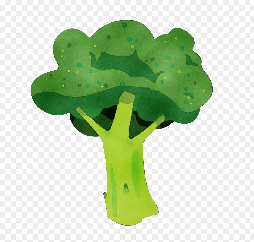 Leaf Vegetable Cruciferous Vegetables Green Symbol Plant Broccoli PNG