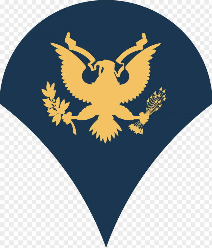 Military Specialist United States Army Rank PNG