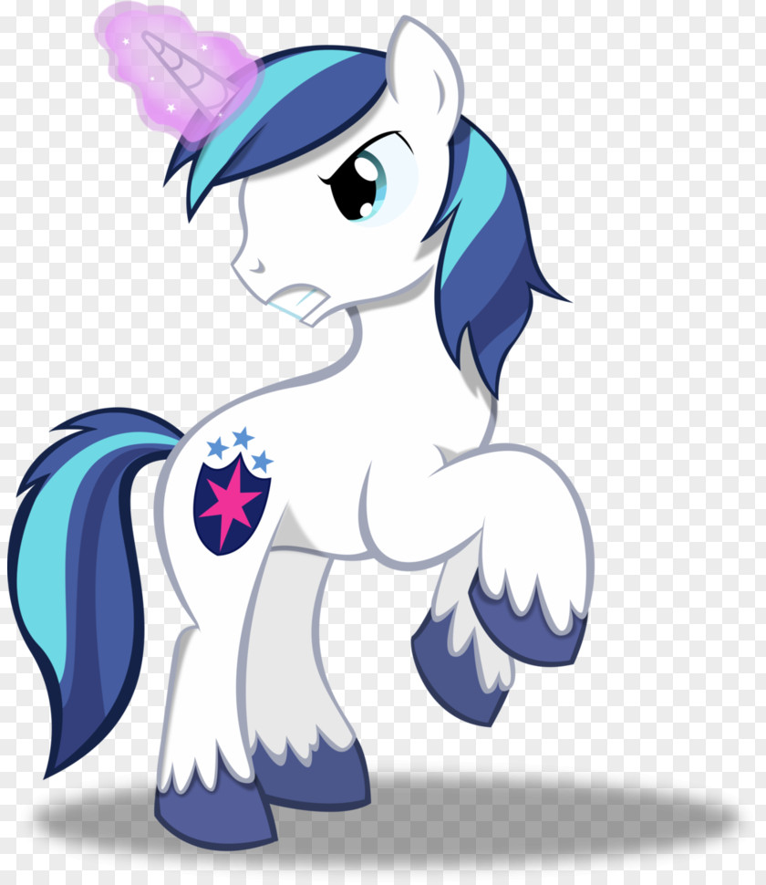 Shinning Twilight Sparkle Princess Cadance Pony Armour PNG
