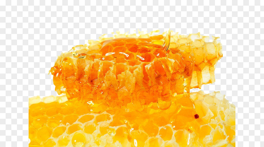 Honey Nest Bee Honeycomb Food PNG
