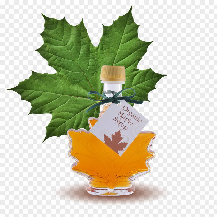 Maple Leaf Syrup Lemonade Sugar Substitute PNG